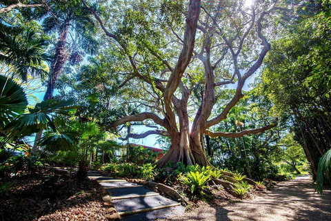 The Figs Byron - Accommodation Cairns 2