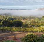 Pecan Hill BNB - Accommodation Cairns
