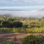 Pecan Hill BNB - Accommodation Cairns 0