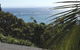 Cylinder Palms - thumb 6