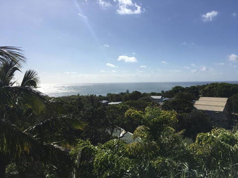 Cylinder Palms - Accommodation Cairns 2