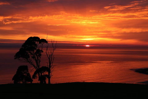 Penguin Seaside Farm - Accommodation Cairns 2