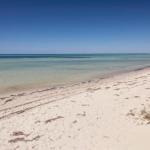 Boardwalk - Accommodation Cairns 0