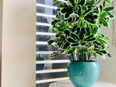 WHITSUNDAY Brand New Townhouse Close To Boardwalk - Accommodation Cairns 4