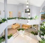 The Atrium 11 Kentia Close - Accommodation Cairns