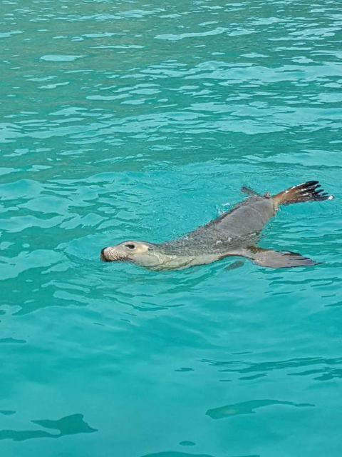 Berds Nest - Accommodation Cairns 2