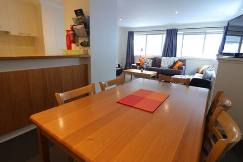Elkhorn 11 - Accommodation Cairns 4