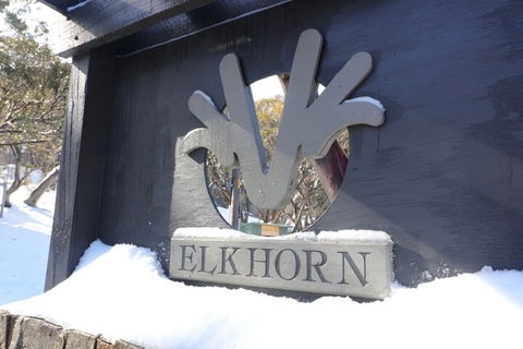 Elkhorn 11 - Accommodation Cairns 2