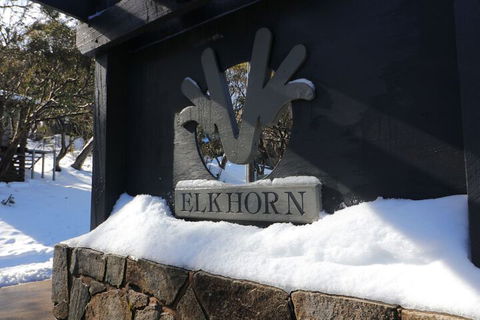 Elkhorn 11 - Accommodation Cairns 1