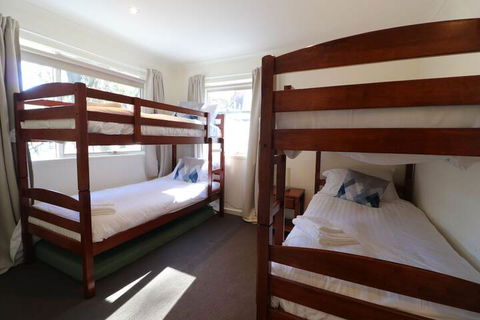 Elkhorn 11 - Accommodation Cairns 6