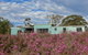 Tea Tree Hollow 50 Percent Off Third Night On Weekend - thumb 2