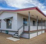 Desert Pea - Accommodation Cairns