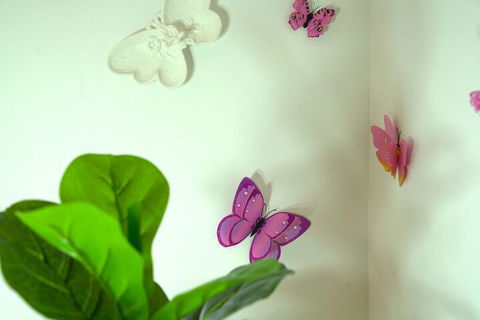 A Cozy 3BRM House At Doncaster - Accommodation Cairns 1