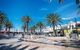 Blackbird At Arlos The Heart Of Glenelg Wifi - thumb 4