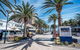 Blackbird At Arlos The Heart Of Glenelg Wifi - thumb 3