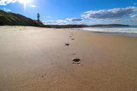 Surfers Paradise At Catherine Hill Bay - Accommodation Cairns 2
