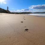 Surfers Paradise At Catherine Hill Bay - Accommodation Cairns 0