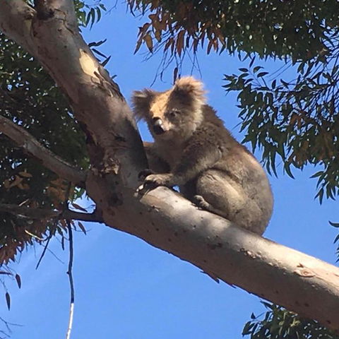 Beachside House - Accommodation Cairns 3