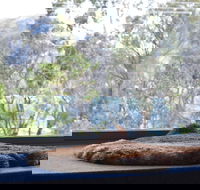 Driftwood - Accommodation Cairns