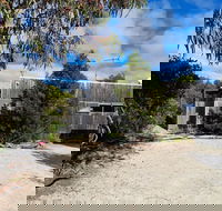 Oystercatcher - Accommodation Cairns