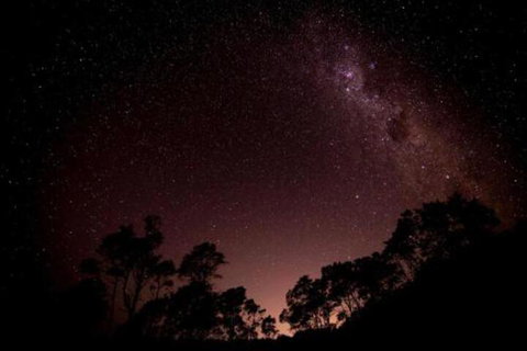 Fork N Farm Artisan Homestead - Accommodation Cairns 3