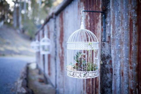 Fork N Farm Artisan Homestead - Accommodation Cairns 4