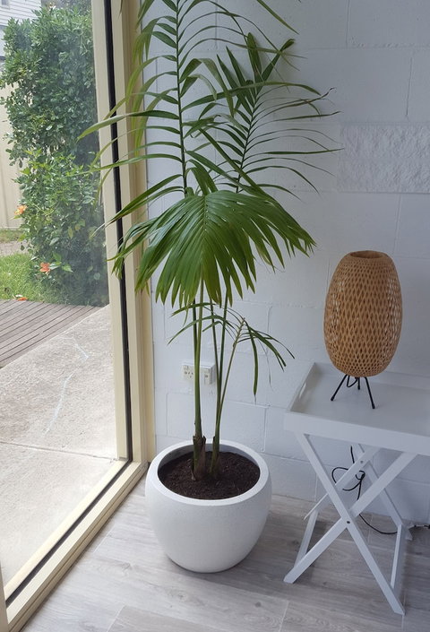 Beach Holiday Apartments Motel - Accommodation Cairns 5