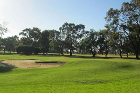 Barmera Country Club Motor Inn - Accommodation Cairns 3