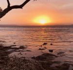 Paradise Beach Apartments - Accommodation Cairns