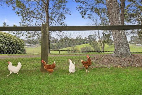 TINY HOME......BIG Views - Accommodation Cairns 6