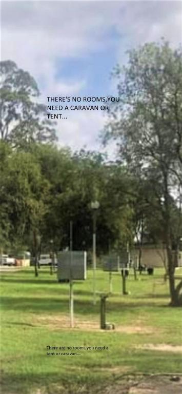 Tall Timbers Caravan Park Kempsey - Accommodation Cairns 4