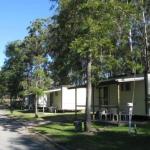 Tall Timbers Caravan Park Kempsey - Accommodation Cairns 0