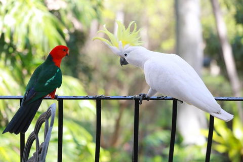 Palm Beach Bed & Breakfast - Accommodation Cairns 4
