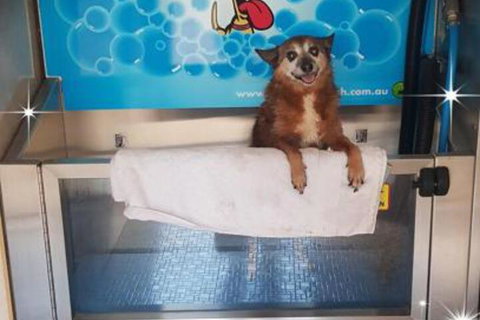 Apex RiverBeach Holiday Park - Accommodation Cairns 4