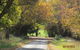 Walnut Cottage Via Leongatha - thumb 3