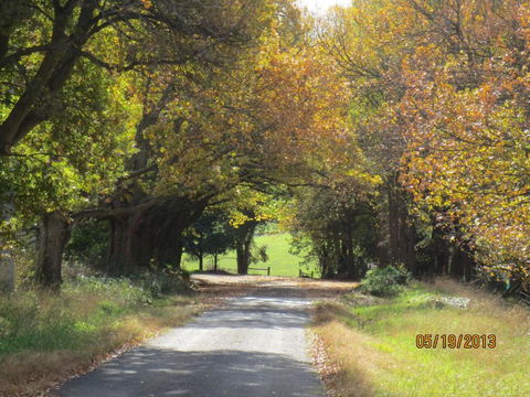 Walnut Cottage Via Leongatha - Accommodation Cairns 3