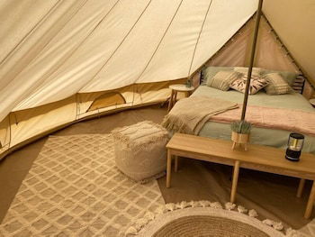 Mungo Roo - Accommodation Cairns 5