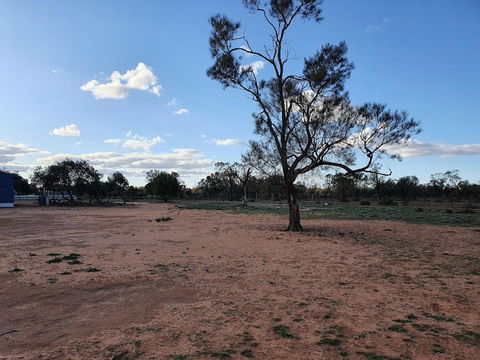 Mungo Roo - Accommodation Cairns 4