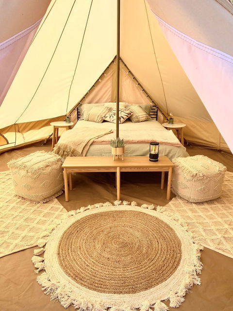Mungo Roo - Accommodation Cairns 3