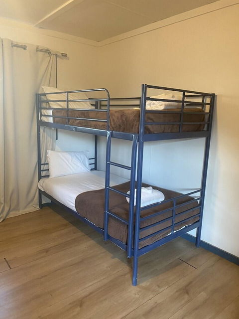 Mungo Roo - Accommodation Cairns 1
