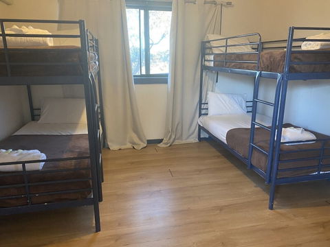 Mungo Roo - Accommodation Cairns 0