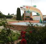 Big Trout Motel - Accommodation Cairns
