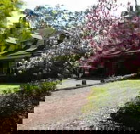 Curtis Falls Apartment - Accommodation Cairns