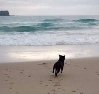 Breakers at Mudjimba Beach - Accommodation Cairns