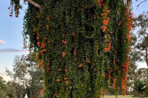 Amarina Farm Stay & Gardens - Accommodation Cairns 6