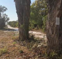 COONARR BEACH  BUNDABERG CAMPING - Accommodation Cairns
