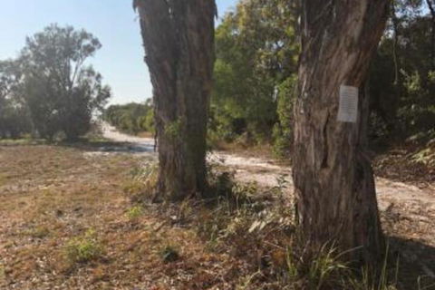 COONARR BEACH ( BUNDABERG )CAMPING - Accommodation Cairns 0