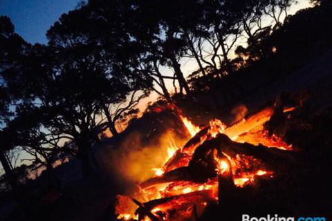 COONARR BEACH ( BUNDABERG )CAMPING - Accommodation Cairns 3