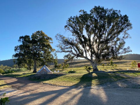 Mansfield Glamping - Accommodation Cairns 3