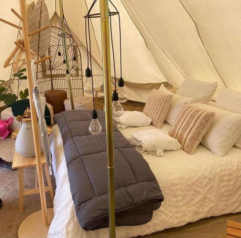 Mansfield Glamping - Accommodation Cairns 4